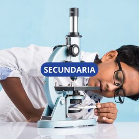 Sed orci odio, adipiscing vel